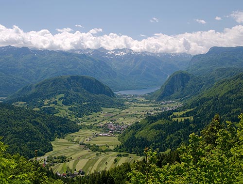 Julian Alps View