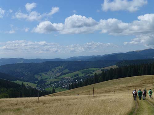 Hiking in the Black Forest