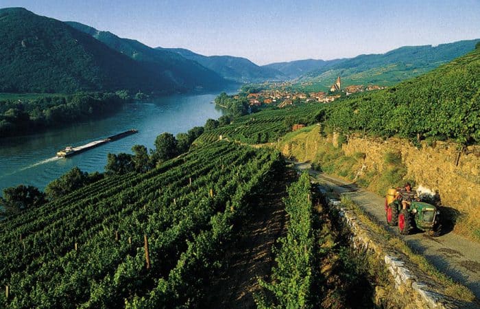 Danube Wine Trails