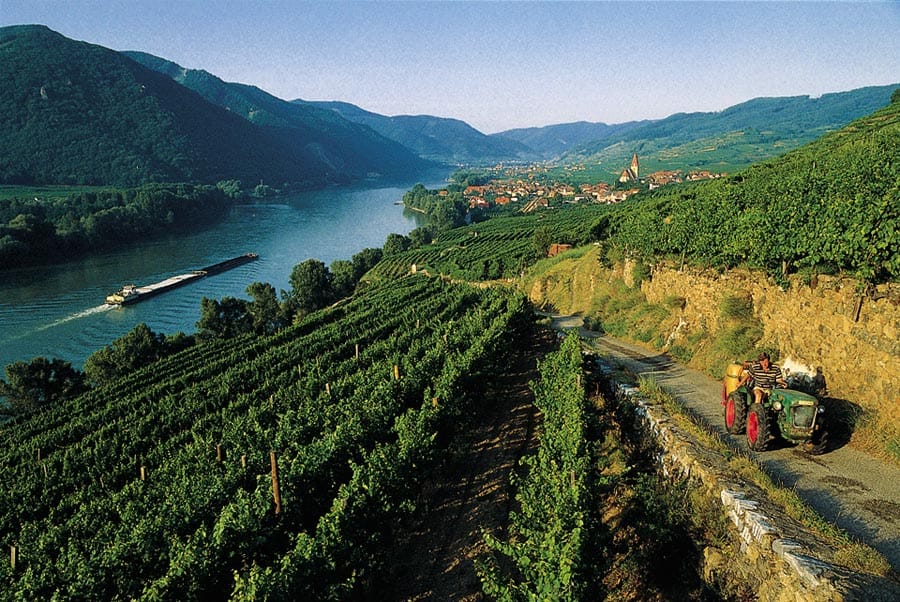 Danube Wine Trails