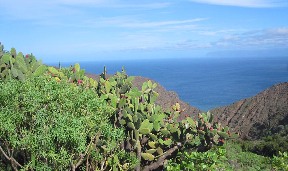 View over La Gomera