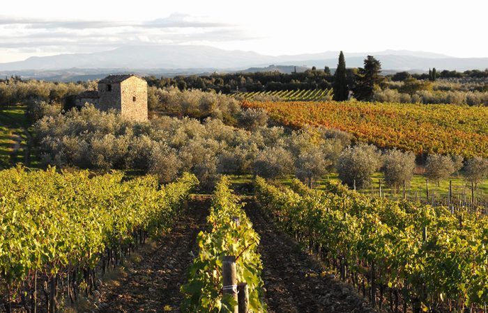 Hilltop Tuscany Walking Tour