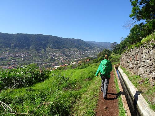 Madeira Landscape