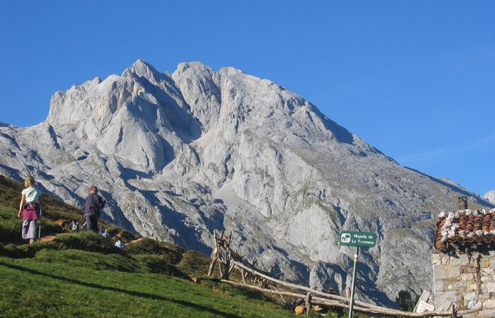 Picos Mountains Landscape