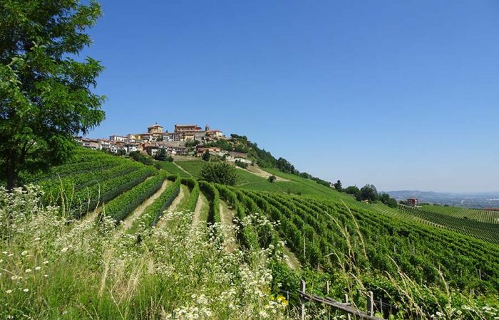 Piemonte Ligurien View