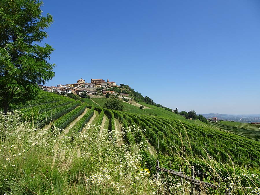 Piemonte Ligurien View
