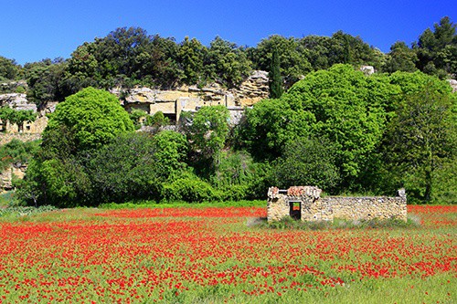 Cycling in Provence