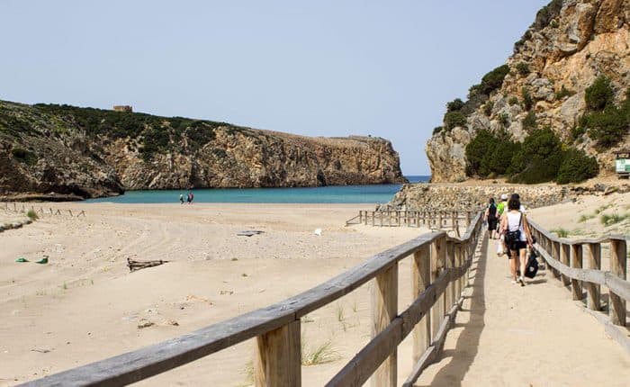 Beach view with wooden path along it