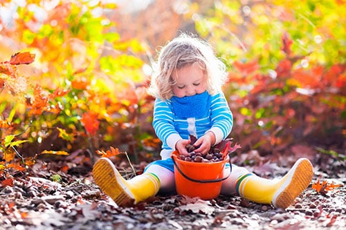 Girl holding acorn and colorful leaf in autumn park. Child picking acorns in a bucket in fall forest with golden oak and maple leaves. Children play outdoors. Kids playing and hiking in the woods.