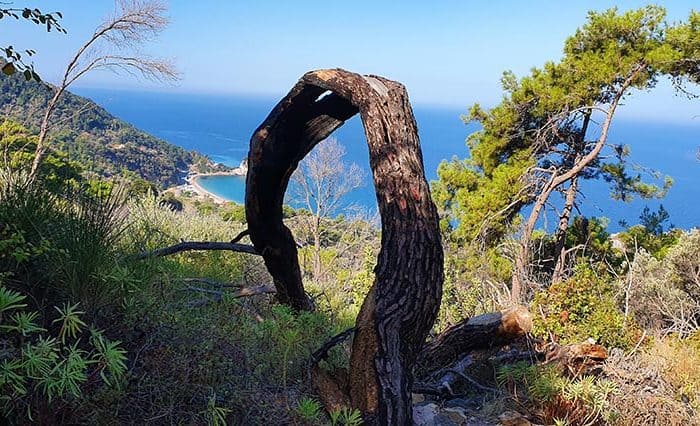 Island of Samos