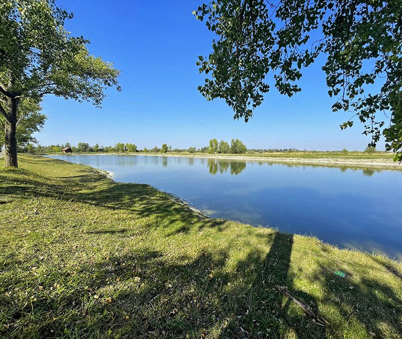 Lake Neusiedl