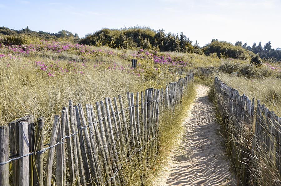 mont-st-michel-to-st-malo (1) Beach near Mont St Michel