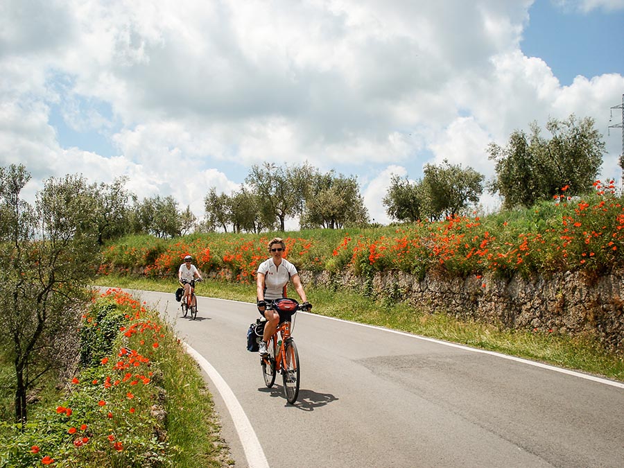 Cycling from Pisa to Siena
