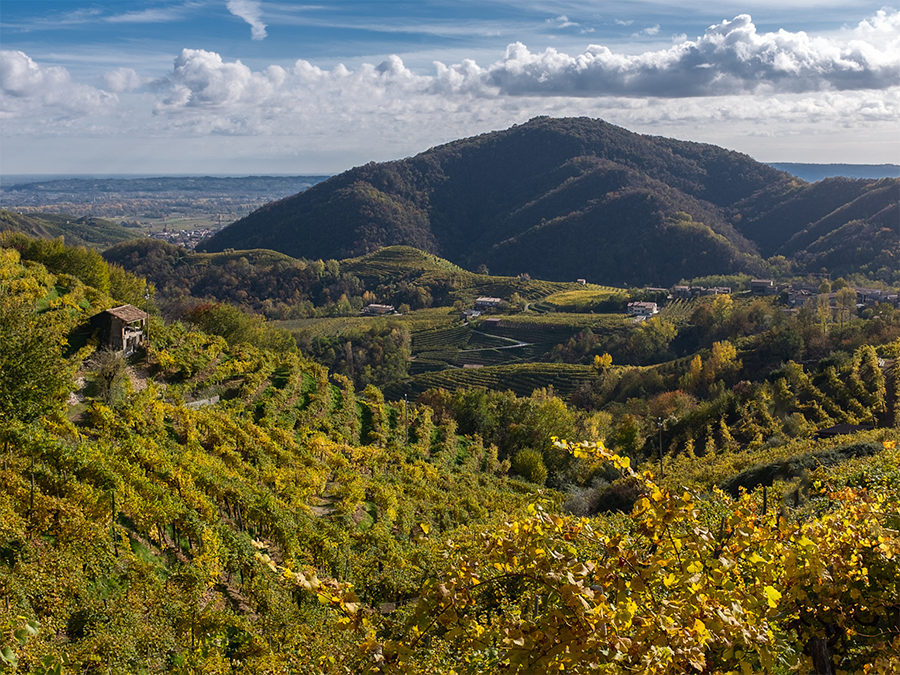 prosecco-hills The Prosecco Hills