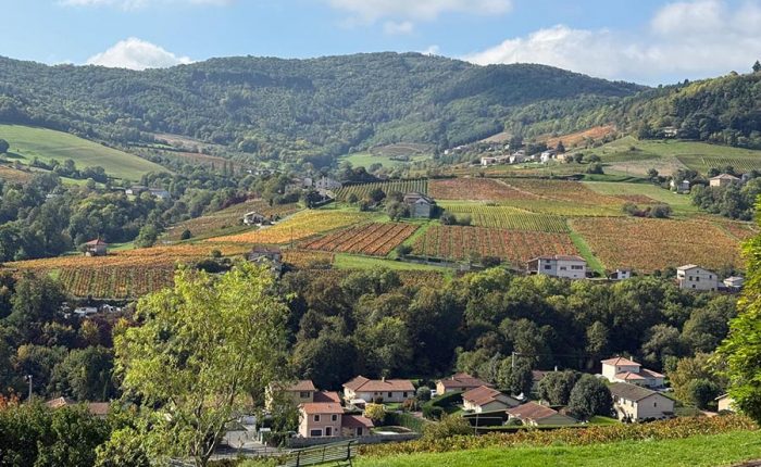 Cycling Holiday in Beaujolais