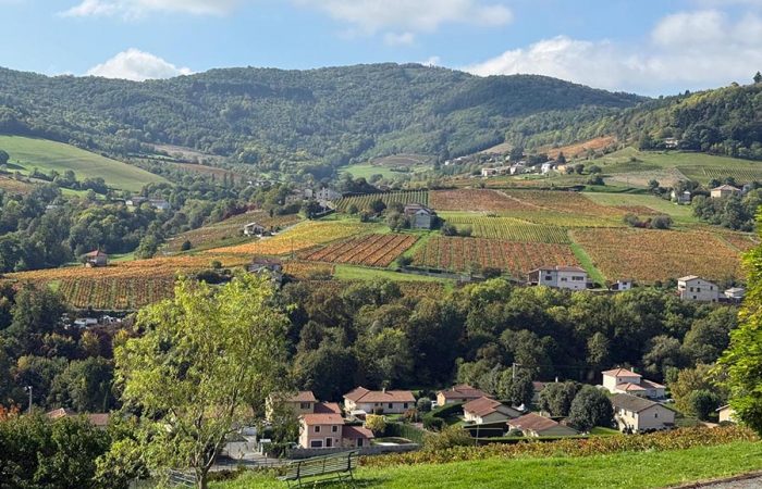 Cycling Holiday in Beaujolais