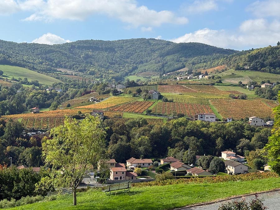 Cycling Holiday in Beaujolais